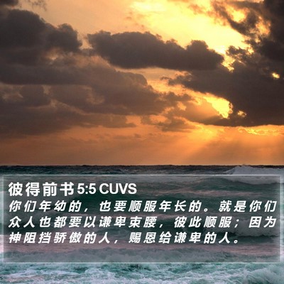 彼 得 前 书 5:5 CUVS Bible Verse Image
