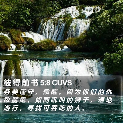 彼 得 前 书 5:8 CUVS Bible Verse Image
