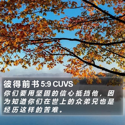 彼 得 前 书 5:9 CUVS Bible Verse Image