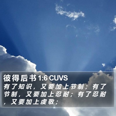 彼 得 后 书 1:6 CUVS Bible Verse Image