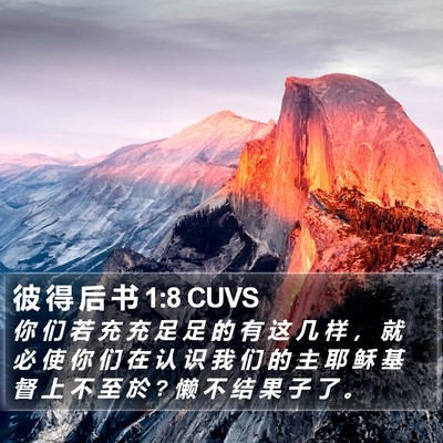 彼 得 后 书 1:8 CUVS Bible Verse Image