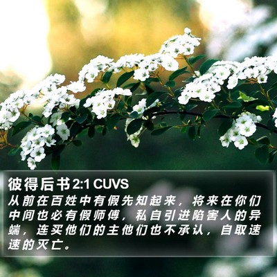 彼 得 后 书 2:1 CUVS Bible Verse Image