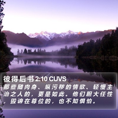 彼 得 后 书 2:10 CUVS Bible Verse Image