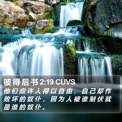 彼 得 后 书 2:19 CUVS Bible Verse Image