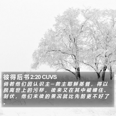 彼 得 后 书 2:20 CUVS Bible Verse Image
