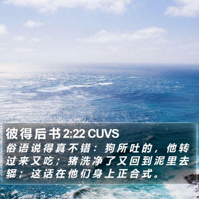彼 得 后 书 2:22 CUVS Bible Verse Image