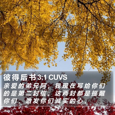 彼 得 后 书 3:1 CUVS Bible Verse Image