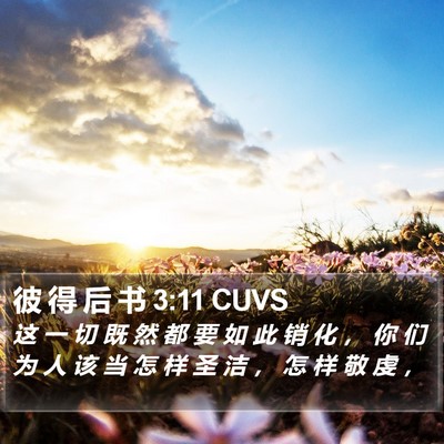 彼 得 后 书 3:11 CUVS Bible Verse Image