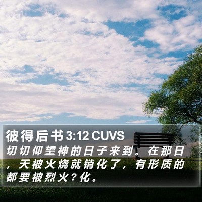 彼 得 后 书 3:12 CUVS Bible Verse Image