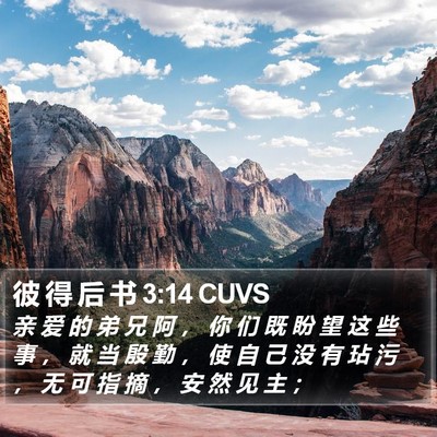 彼 得 后 书 3:14 CUVS Bible Verse Image