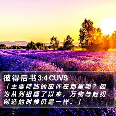 彼 得 后 书 3:4 CUVS Bible Verse Image