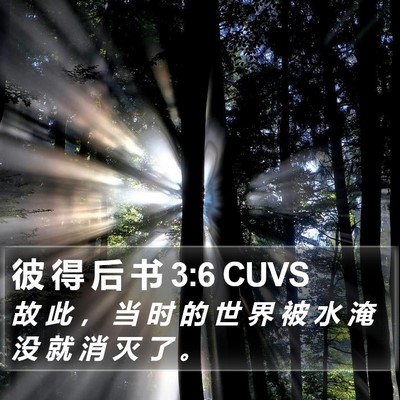 彼 得 后 书 3:6 CUVS Bible Verse Image