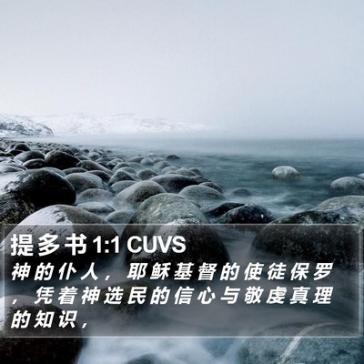 提 多 书 1:1 CUVS Bible Verse Image