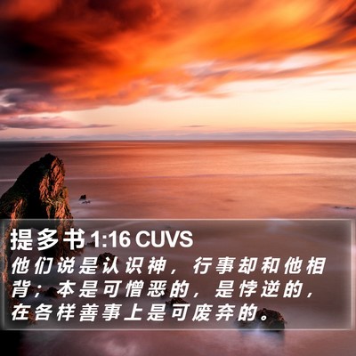 提 多 书 1:16 CUVS Bible Verse Image