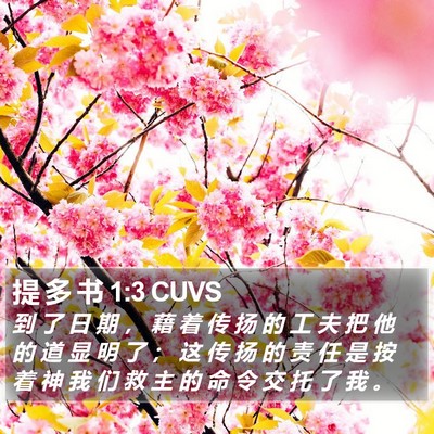 提 多 书 1:3 CUVS Bible Verse Image