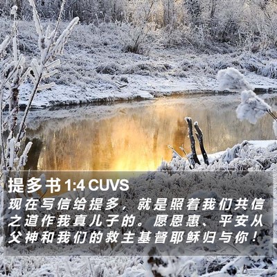 提 多 书 1:4 CUVS Bible Verse Image