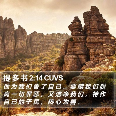 提 多 书 2:14 CUVS Bible Verse Image