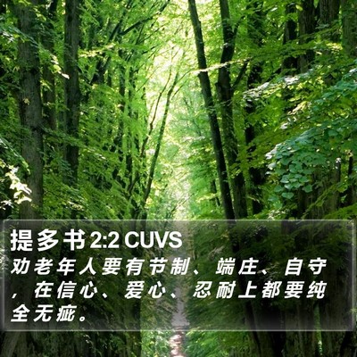 提 多 书 2:2 CUVS Bible Verse Image