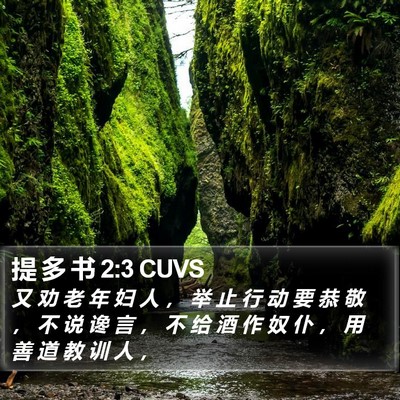 提 多 书 2:3 CUVS Bible Verse Image