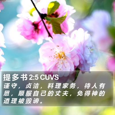 提 多 书 2:5 CUVS Bible Verse Image