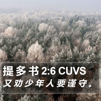 提 多 书 2:6 CUVS Bible Verse Image