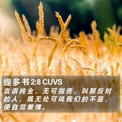 提 多 书 2:8 CUVS Bible Verse Image