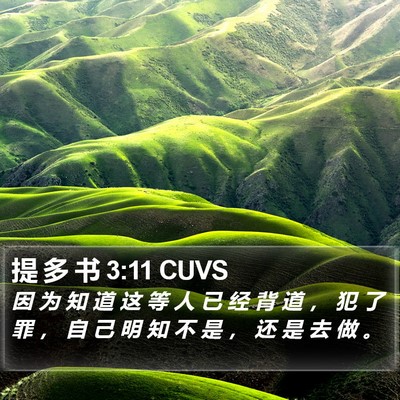 提 多 书 3:11 CUVS Bible Verse Image