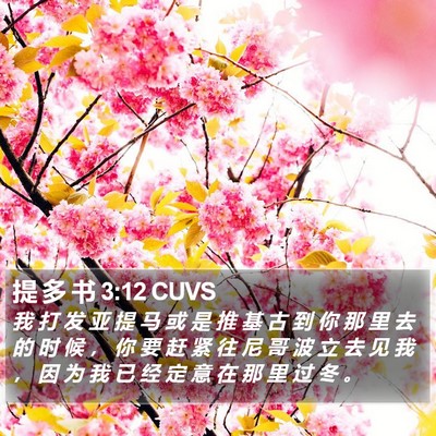 提 多 书 3:12 CUVS Bible Verse Image
