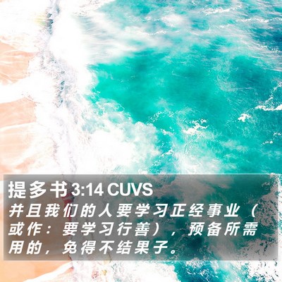 提 多 书 3:14 CUVS Bible Verse Image