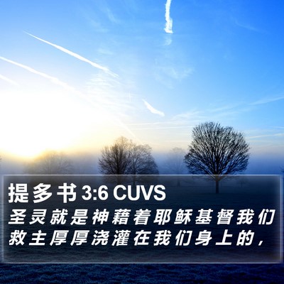 提 多 书 3:6 CUVS Bible Verse Image