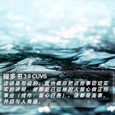 提 多 书 3:8 CUVS Bible Verse Image
