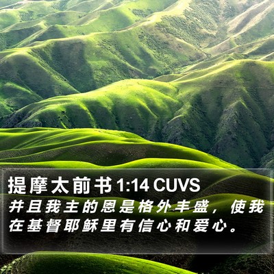 提 摩 太 前 书 1:14 CUVS Bible Verse Image