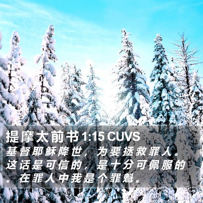提 摩 太 前 书 1:15 CUVS Bible Verse Image