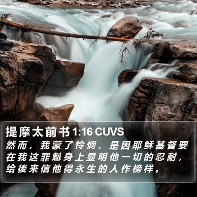 提 摩 太 前 书 1:16 CUVS Bible Verse Image