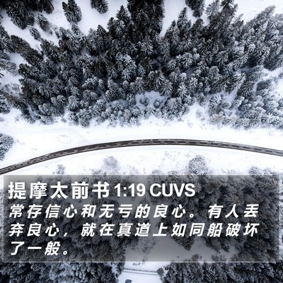提 摩 太 前 书 1:19 CUVS Bible Verse Image