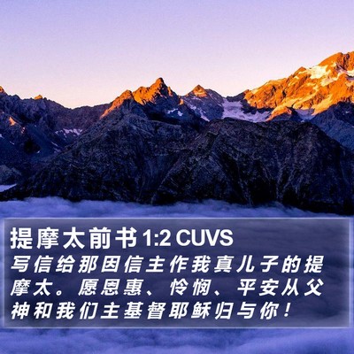 提 摩 太 前 书 1:2 CUVS Bible Verse Image