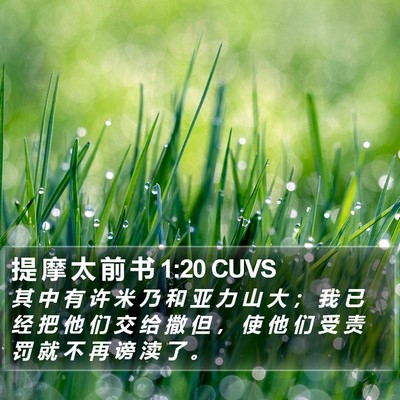 提 摩 太 前 书 1:20 CUVS Bible Verse Image