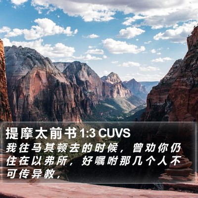 提 摩 太 前 书 1:3 CUVS Bible Verse Image