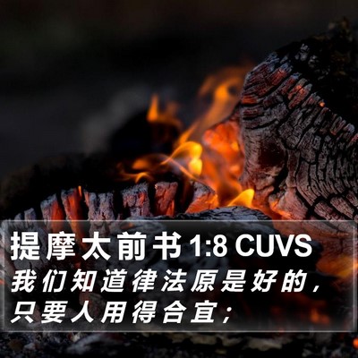 提 摩 太 前 书 1:8 CUVS Bible Verse Image