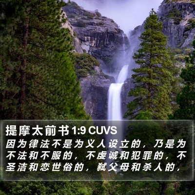 提 摩 太 前 书 1:9 CUVS Bible Verse Image