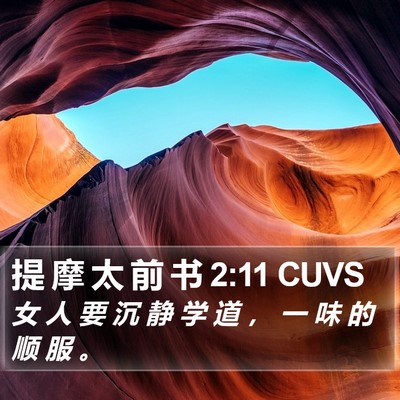 提 摩 太 前 书 2:11 CUVS Bible Verse Image