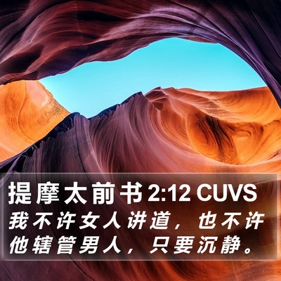 提 摩 太 前 书 2:12 CUVS Bible Verse Image
