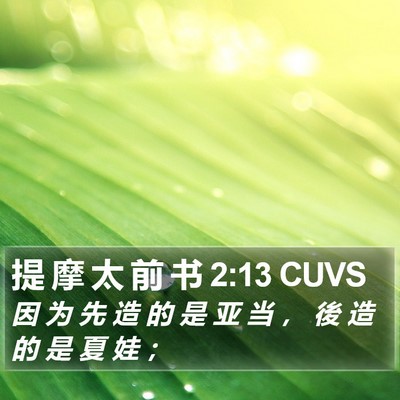 提 摩 太 前 书 2:13 CUVS Bible Verse Image