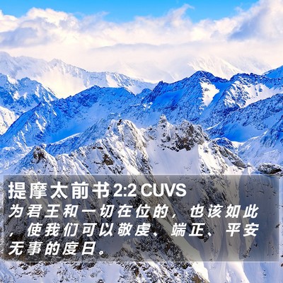 提 摩 太 前 书 2:2 CUVS Bible Verse Image