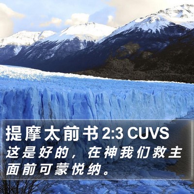 提 摩 太 前 书 2:3 CUVS Bible Verse Image
