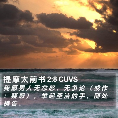提 摩 太 前 书 2:8 CUVS Bible Verse Image