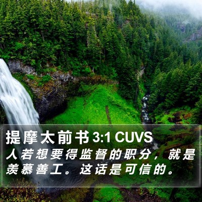 提 摩 太 前 书 3:1 CUVS Bible Verse Image