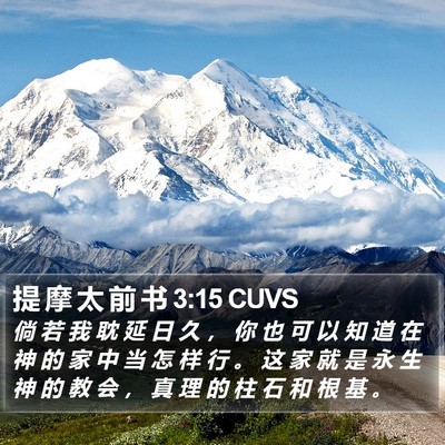 提 摩 太 前 书 3:15 CUVS Bible Verse Image