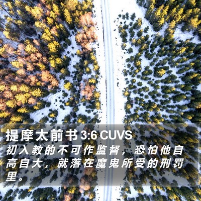 提 摩 太 前 书 3:6 CUVS Bible Verse Image