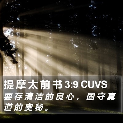 提 摩 太 前 书 3:9 CUVS Bible Verse Image